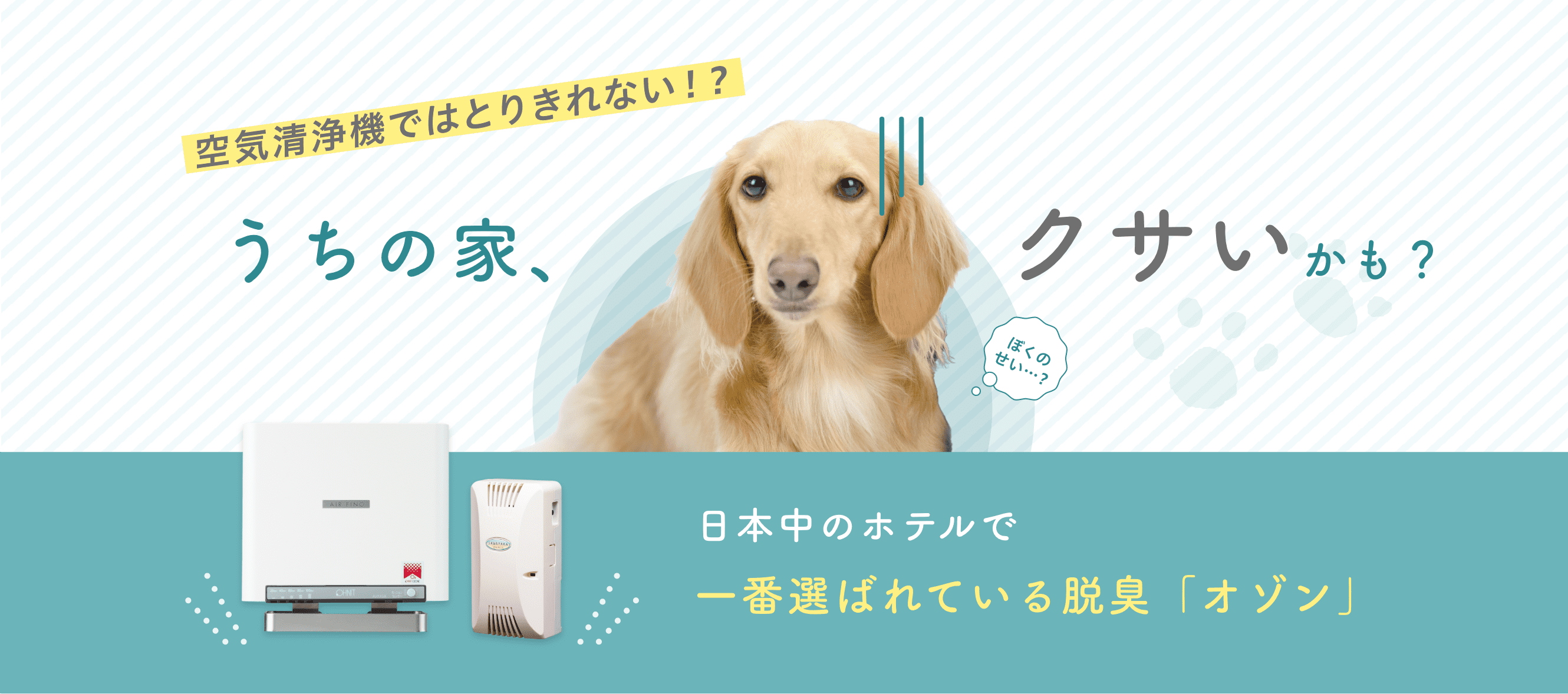 うちの家、クサいかも？