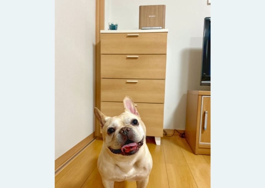 ツナちゃん 8才